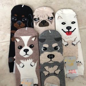 Dog socks (Five total)